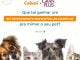 Imagem promocional da Cobasi com quatro pets sorridentes (dois cães e dois gatos) anunciando um sorteio de quatro kits da GranPlus para cães e gatos.