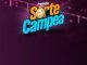 Tela do site com anúncio da Promoção Sorte Campeã GB GBarbosa Cencosud.