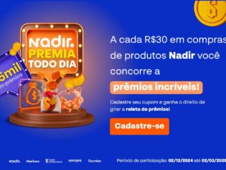 Promoção Nadir Figueiredo Premia Todo Dia - Sul: Concorra prêmios diários de até 700 reais.