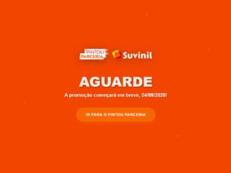 Promoção Jogar Junto Muda Tudo Suvinil: Participe e concorra!