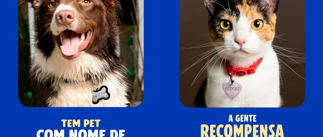 Promoção Pet Naming Rights Nestlé Imagem publicitária com fundo azul composta por duas fotos de animais de estimação. À esquerda, um cachorro Border Collie marrom e branco sorri usando uma placa de identificação com o nome Nescau. À direita, uma gata tricolor usa uma coleira com pingente em formato de coração com o nome KitKat. O texto questiona se existem pets com nomes de marcas da Nestlé e informa que a empresa recompensa essa propaganda espontânea.