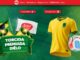 Banner promocional da campanha Torcida Premiada Diêlo exibindo uma camisa de futebol amarela, bolas decoradas e a bandeira do Brasil sobre um fundo verde.