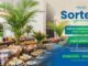 Peça publicitária da Fallanona Viagens e Turismo anunciando sorteio especial de café da manhã completo para 2 pessoas, com data de sorteio em 27/06/2026 e divulgação do resultado em 28/06/2026.
