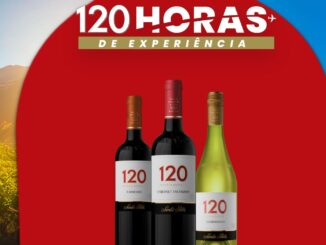 Três garrafas de vinho Santa Rita 120 Reserva Especial posicionadas à frente de uma paisagem de vinhedos e montanhas. O topo contém o texto 120 Horas de Experiência em fundo vermelho e dourado com um ícone de avião.