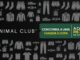 Banner promocional da Minimal Club com fundo preto, ícones de roupas masculinas em cinza e destaque em verde e amarelo com a mensagem: concorra a uma viagem à Copa a cada R$700 em compras.