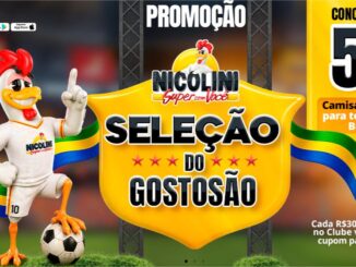 Promoção Seleção do Gostosão do Supermercado Nicolini: mascote frango com camisa da seleção brasileira ao lado de bola de futebol, com faixa verde e amarela e chamada para concorrer a 50 camisas oficiais da Seleção Brasileira
