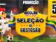 Promoção Seleção do Gostosão do Supermercado Nicolini: mascote frango com camisa da seleção brasileira ao lado de bola de futebol, com faixa verde e amarela e chamada para concorrer a 50 camisas oficiais da Seleção Brasileira