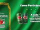 Campanha publicitária da promoção Torcida Guaraná Antarctica em parceria com PlayStation Plus. O fundo é verde com textura de malha. À esquerda há um bordado com o nome da promoção e a marca de refrigerante. No centro estão duas latas da bebida. À direita consta o texto informativo sobre o benefício de 7 dias grátis do serviço de games a cada R$20 em compras.