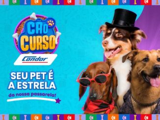 Banner do concurso Cãocurso Condor com três cachorros estilizados — um pastor australiano com cartola, um dachshund com óculos de sol e gravata borboleta, e um vira-lata com coleira — sobre fundo azul turquesa com a frase "Seu pet é a estrela da nossa passarela".
