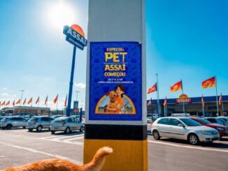 Banner do Especial Pet Assaí Atacadista fixado em pilar do estacionamento, com período de 17 a 21 de agosto, ao fundo a fachada da loja com bandeiras decorativas.