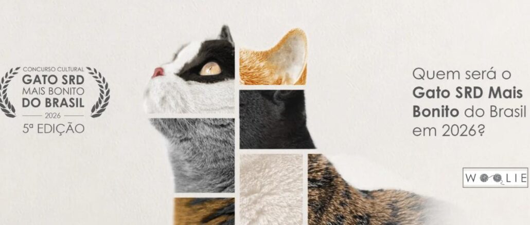 Banner do Concurso Cultural Gato SRD Mais Bonito do Brasil 2026, 5ª Edição, promovido pela Woolie, com montagem fotográfica de gatos mestiços de diferentes pelagens.