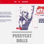Página inicial da promoção Budweiser Fã Captcha com Pussycat Dolls, apresentando um captcha temático para fãs provarem que são verdadeiros.
