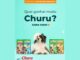 Arte da promoção Seguidor Premiado Cobasi Outubro 2026 com um cão de pelagem branca e preta deitado entre embalagens de petisco Churu para cães, sobre fundo verde-água, com a pergunta "Quer ganhar muito Churu?".