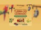 Arte da Promoção Mês das Crianças Turma do Cerrado do ParkShopping, com arara e gambá em galhos, pelúcias de bichinhos do cerrado e dois mini cars Jeep, informando compras de R$900 de 6 a 25 de outubro e sorteio da Loteria Federal em 28/10.